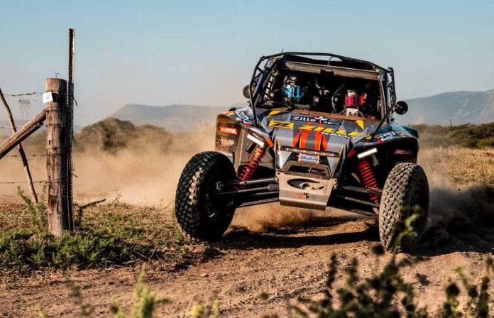 SASR 2025: A safari into the unknow