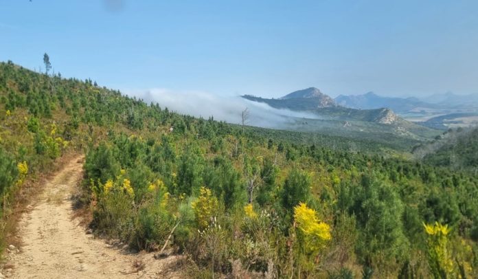 Outeniqua 400 2025: South African rally-raid action returns to the Western Cape, making a comeback after more than a decade away